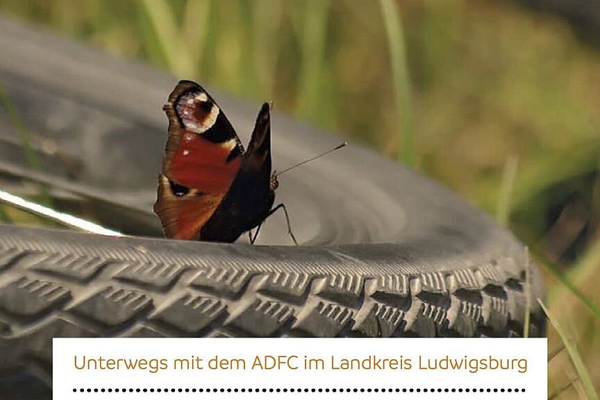 Jahresprogramm 2023 Jahresprogramm